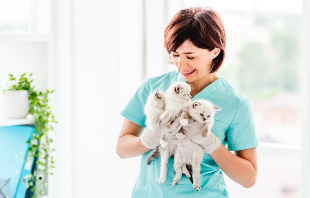 ragdoll-kittens-veterinerian-clinic_156881-5998